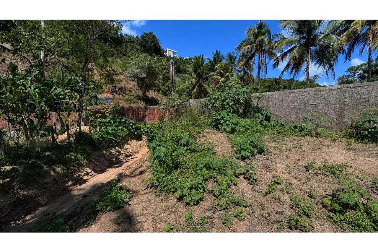 Terreno com 200 mts2, sendo 8x25 na Garça Torta. - Foto 4