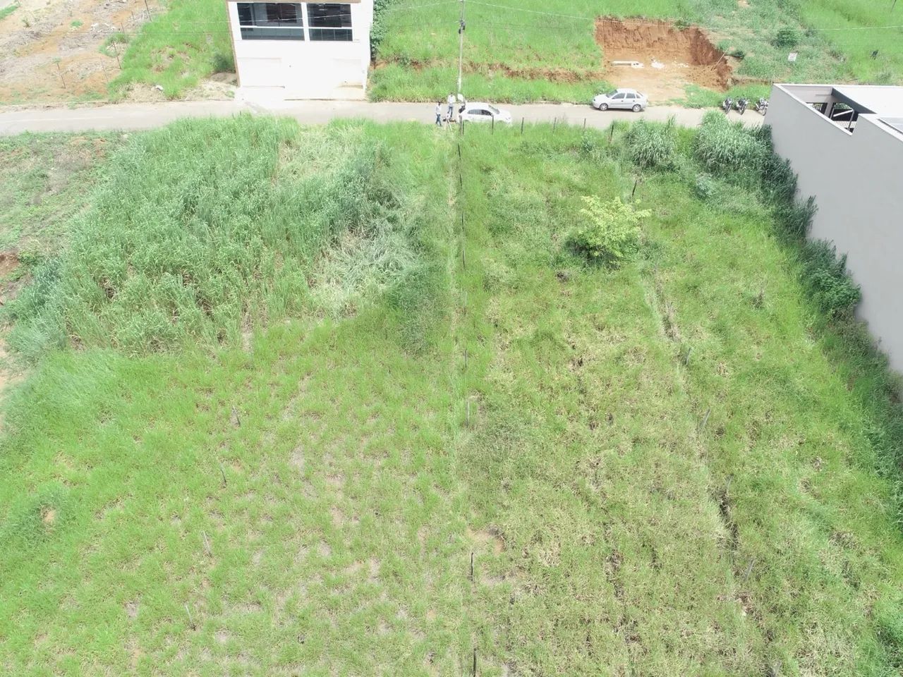 Lote - Foto 3