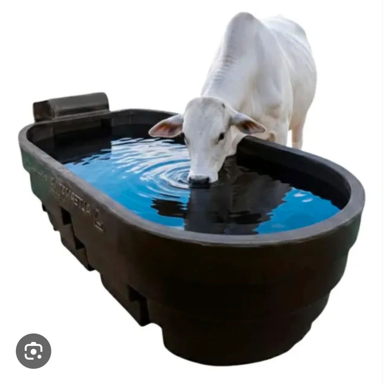 Bebedouro Cocho Confinamento  - Foto 3