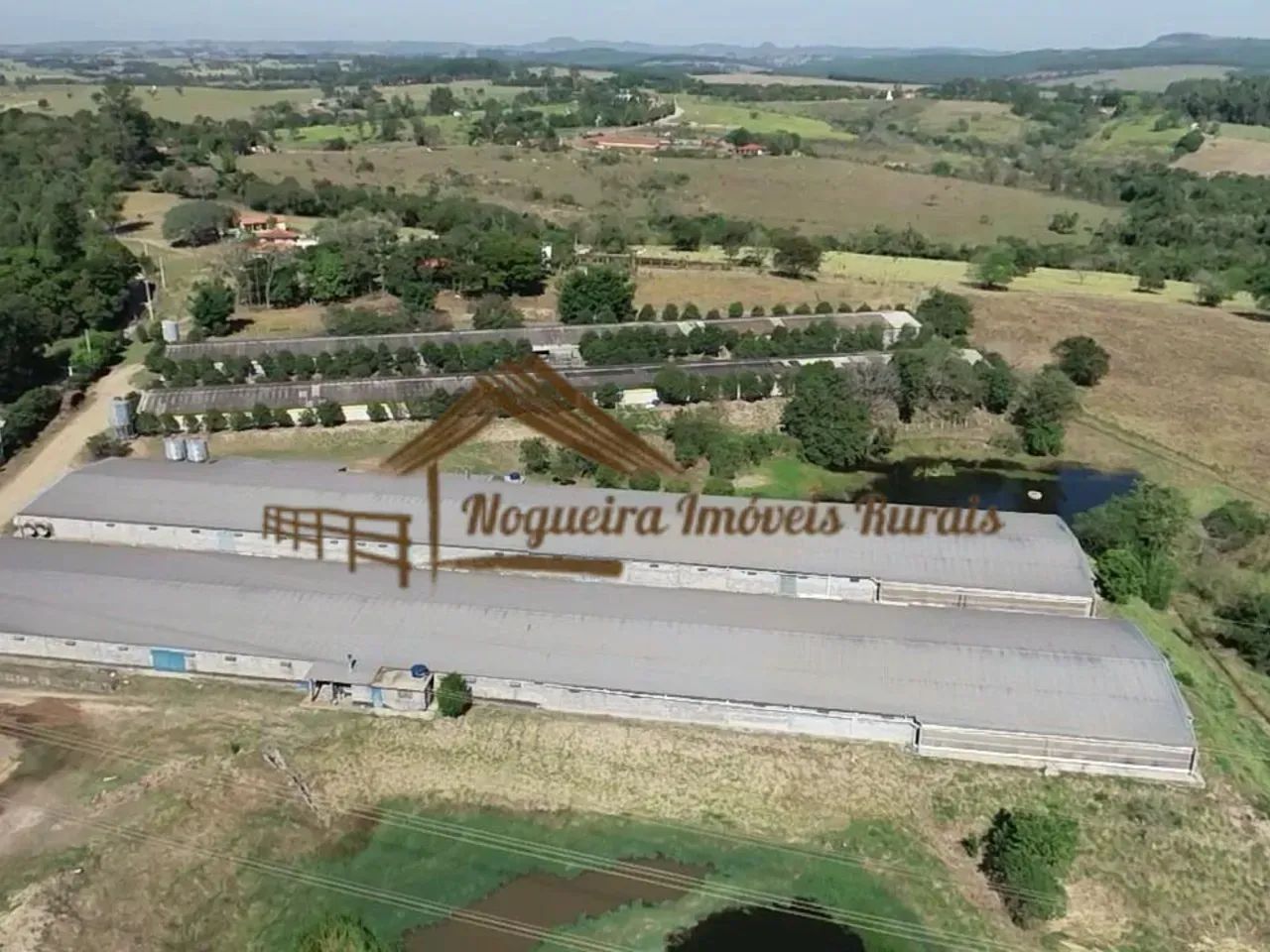 Sitio com granjas, 200 mil aves - Foto 5