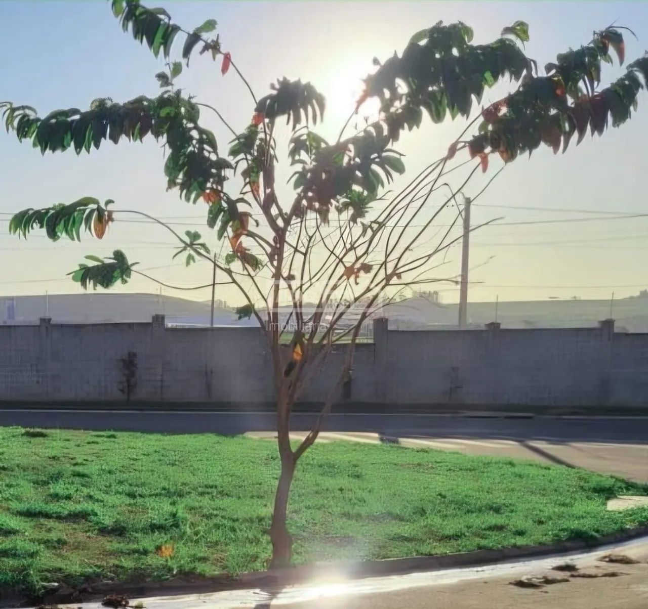 terreno - São Bento - Paulínia - Foto 2