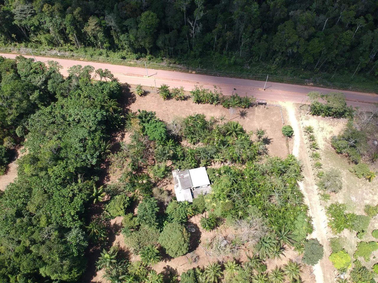 Vende-se sítio em Presidente Figueiredo  - Foto 3