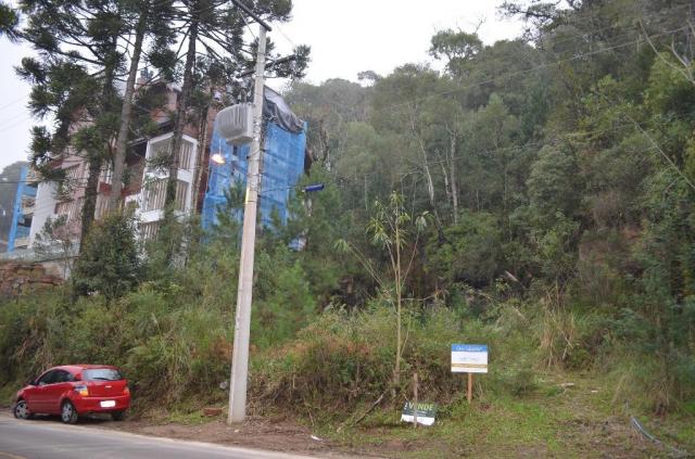 Terreno à venda, 2723 m² por r$ 5.800.000,00 - floresta - gramado/rs - Foto 8