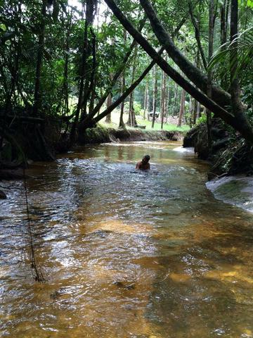 Fazenda em Presidente Figueiredo próximo cachoeira Urubui - Foto 19
