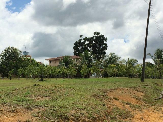 Fazenda em Presidente Figueiredo próximo cachoeira Urubui - Foto 11