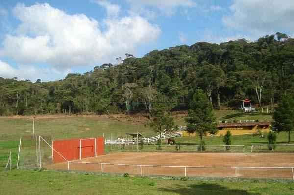 Sítio rural à venda, Colônia Alpina, Teresópolis. - Foto 11