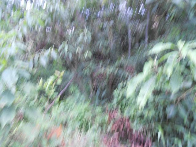 Terreno residencial à venda, Recanto do Lago, Mairiporã. - Foto 10