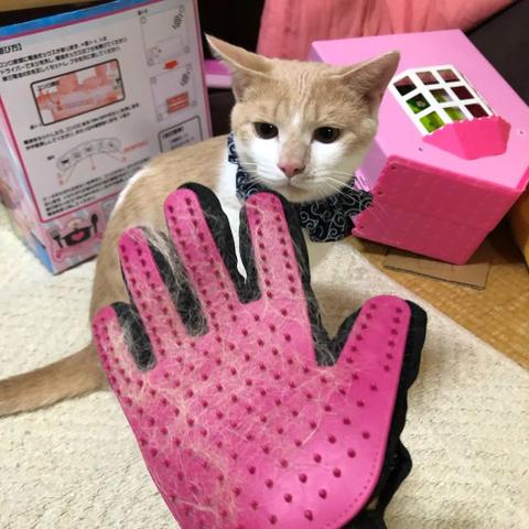 Luva Escova Nano Magnetica tira Pelos dos Pets Cães e Gatos - Foto 2