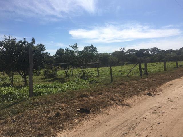 Sítio na Comunidade Carrijo à 60 Km do Trevo do Lagarto - Foto 4