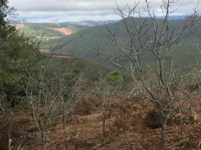 Ótima Propriedade em Aracê - Domingos Martins - Foto 16