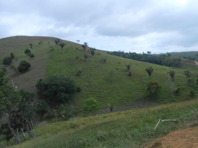 Fazenda de pecuária - Foto 6