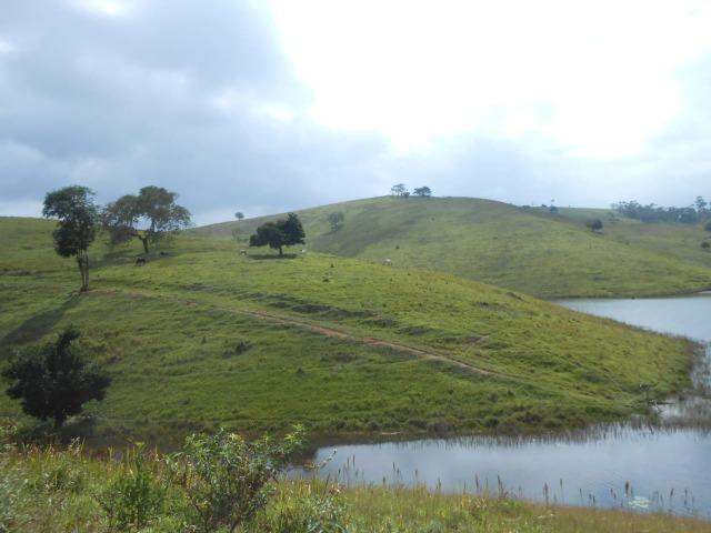 Fazenda de pecuária - Foto 7