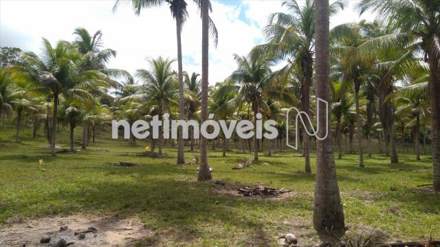 Sítio à venda em Arembepe, Camaçari cod:783794 - Foto 16