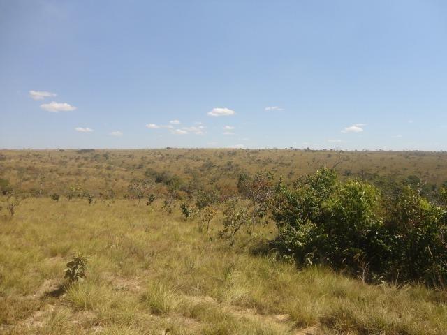 Área de Fazenda com 48 Hectares Localizado no Santo Antônio do Descoberto - Go - Foto 4