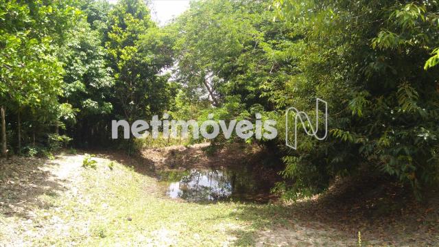 Sítio à venda em Arembepe, Camaçari cod:783794 - Foto 18