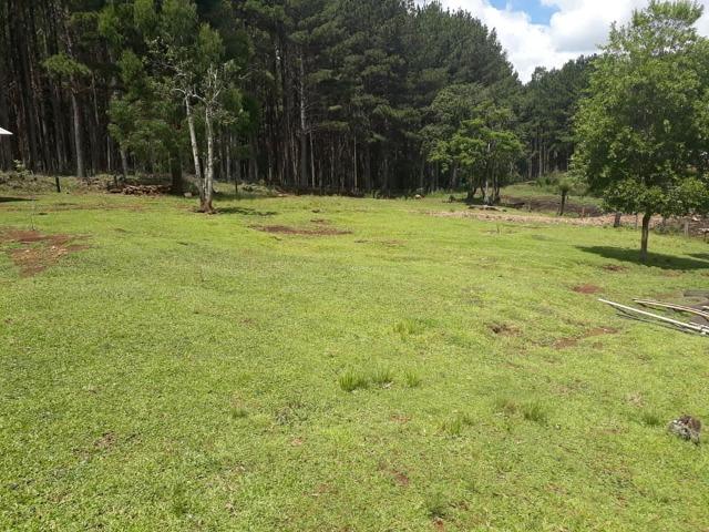 Linda Chácara 24.200 m2 ( 1 Alqueire) com 2 Casas - Palmas PR - Foto 13