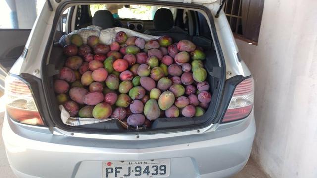 Vendo ou troco chácara na estrada da adutora - Foto 4