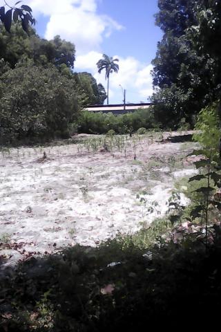 Vende-se uma chácara 1.800.000.00 - Foto 5