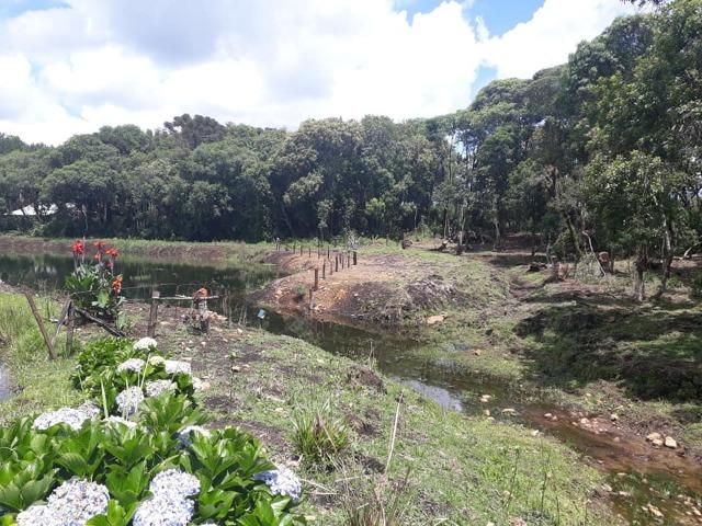 Linda Chácara 24.200 m2 ( 1 Alqueire) com 2 Casas - Palmas PR - Foto 11