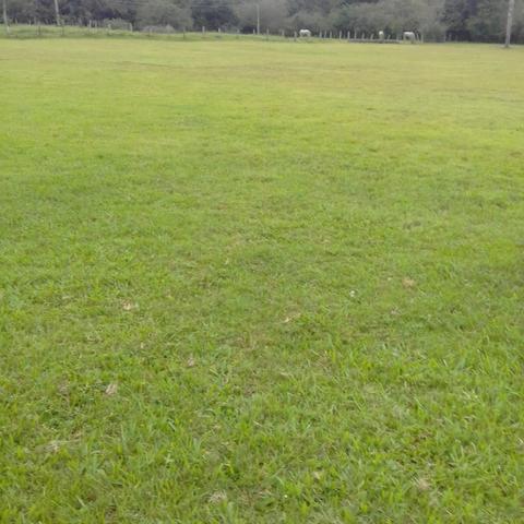 Grama