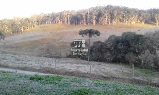 Sítio à venda com 3 dormitórios em Alto limeira, Alfredo wagner cod:851