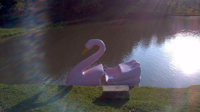 Chácara dos Lagos com 04 HA - Foto 4