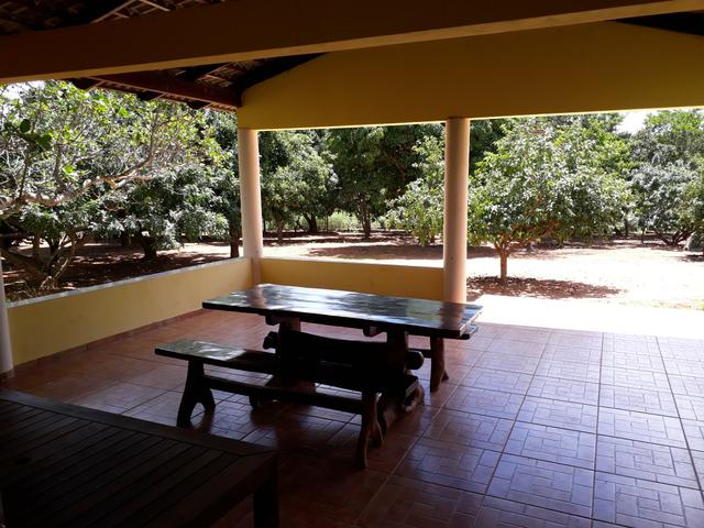 Ótima fazenda 42 Hectares dentro do DF, com água - Foto 20