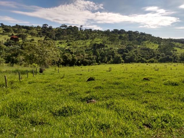 Fazenda no município de Bonfinópolis 24 alqueires - Foto 10