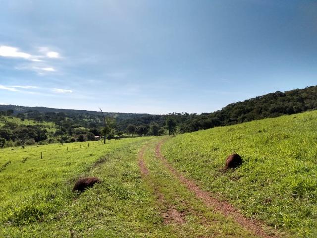 Fazenda no município de Bonfinópolis 24 alqueires - Foto 3