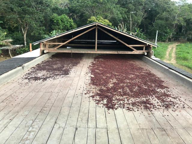 Fazenda produtora de Cacau em Linhares 70mil - Foto 18