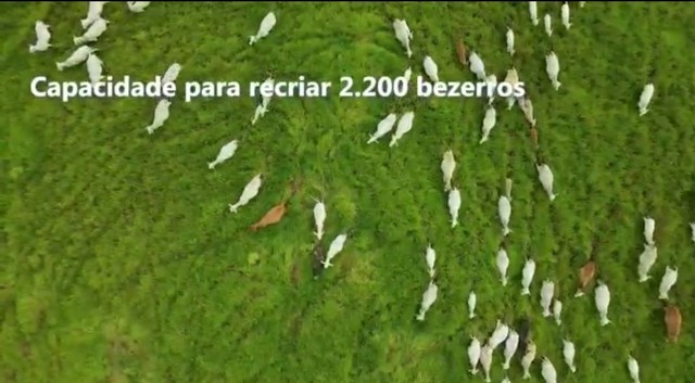 Fazenda em Divinopolis. - Foto 5