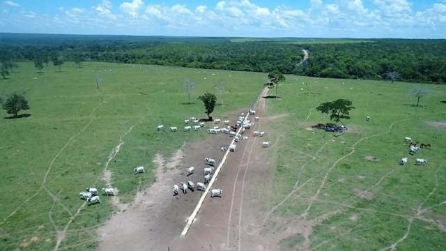 Fazenda em Paranatinga-MT, 6.300 hectares.