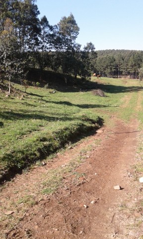 Vendo ou troco  chácara - Lajeado Grande - Foto 6