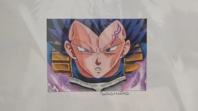 Desenhos Dragon Ball Feitos a Mão - Objetos de decoração - Dezoito do  Forte, Aracaju 1253169655