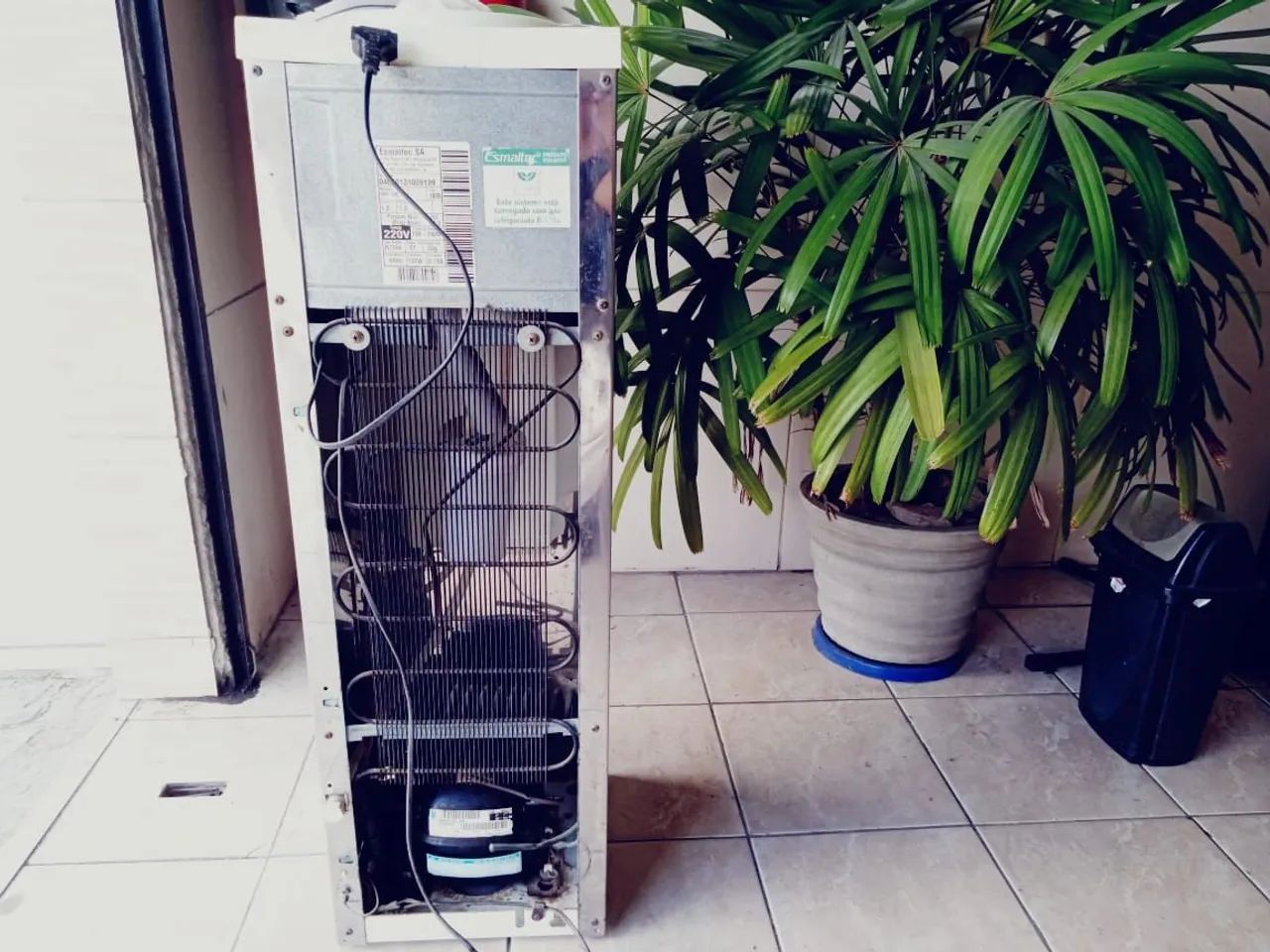 Bebedouro Esmaltec - Foto 2