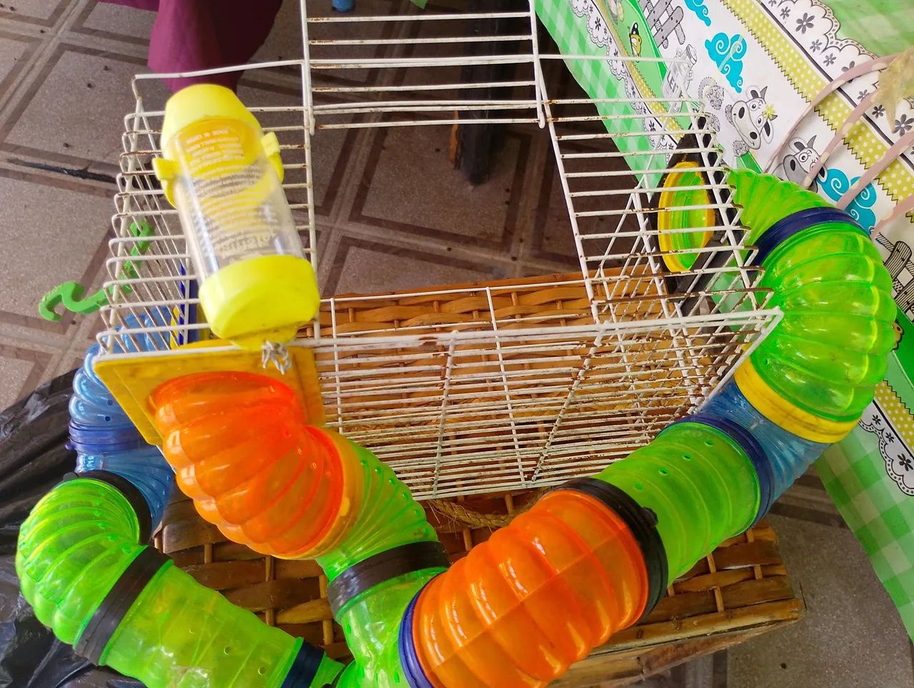 Gaiola para ramister  - Foto 4