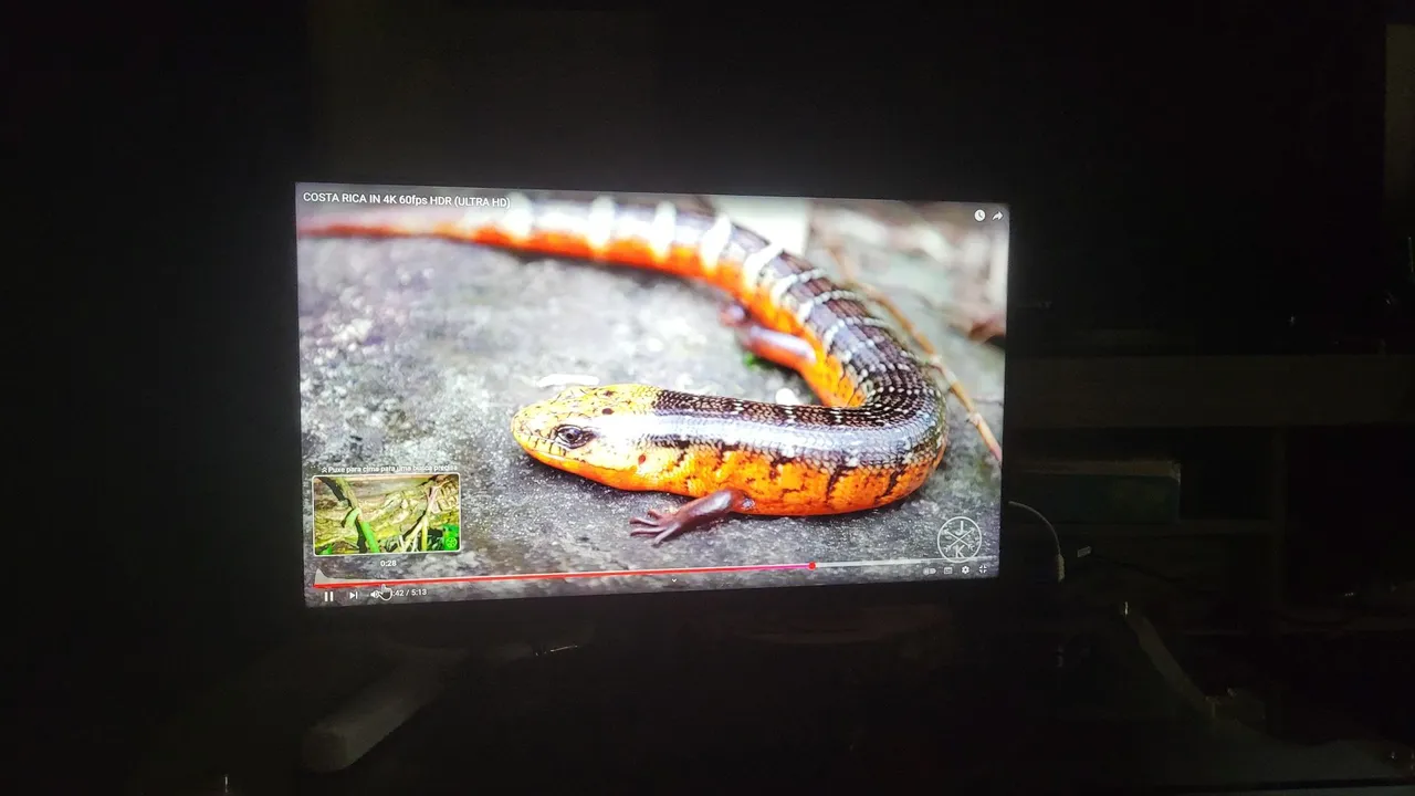 Monitor LED 23,8" LG IPS FULL HD, 75 Hz, TECNOLOGIA AMD FREE SYNC - 24MP400 -B