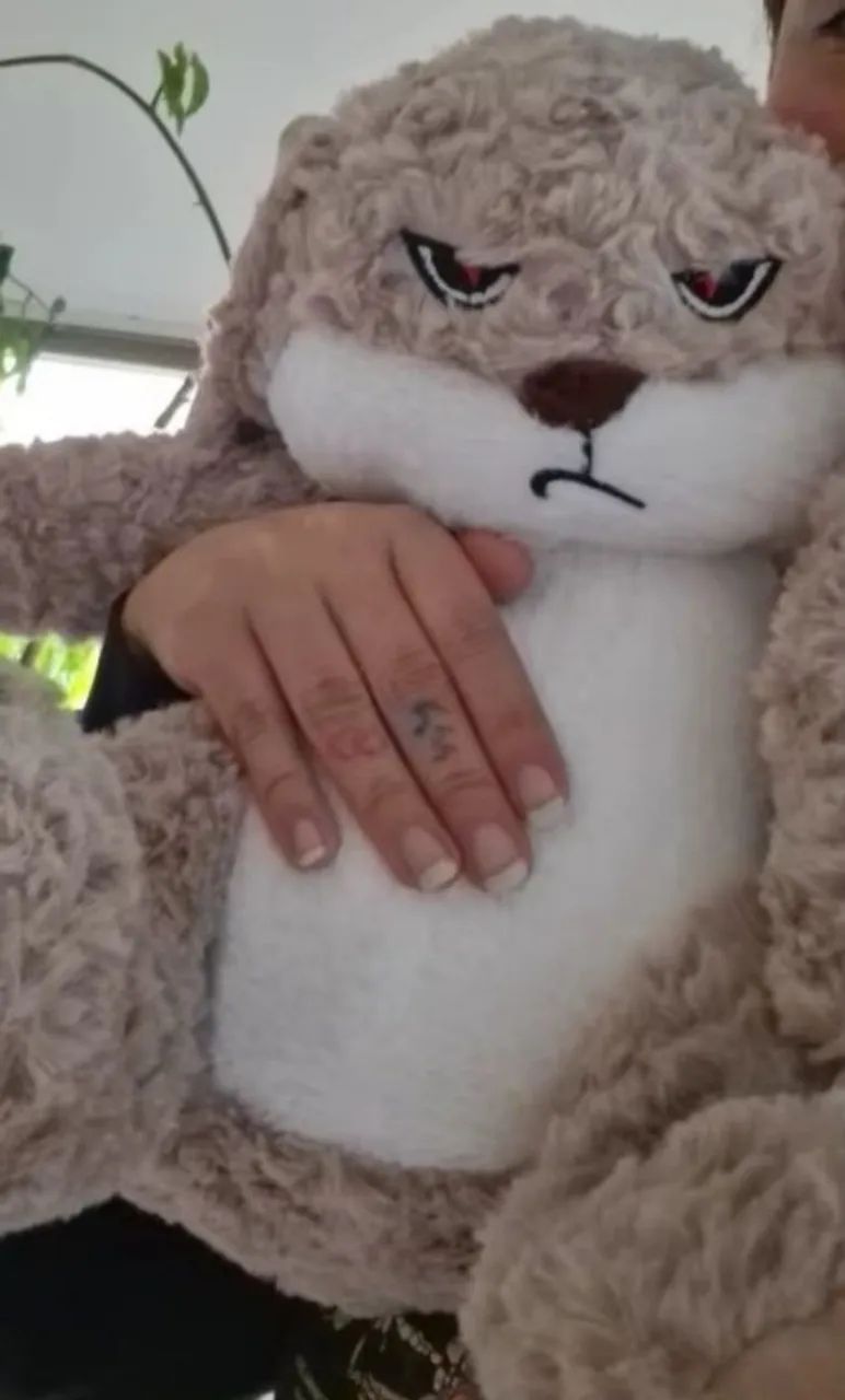 NOVIDADE! PELUCIA GRANDE COELHO BRAVO - 46CM - Foto 4