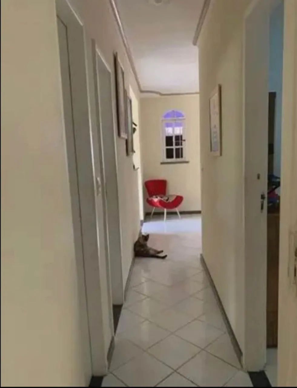 Casa a venda em Vicente Pires  - Foto 4