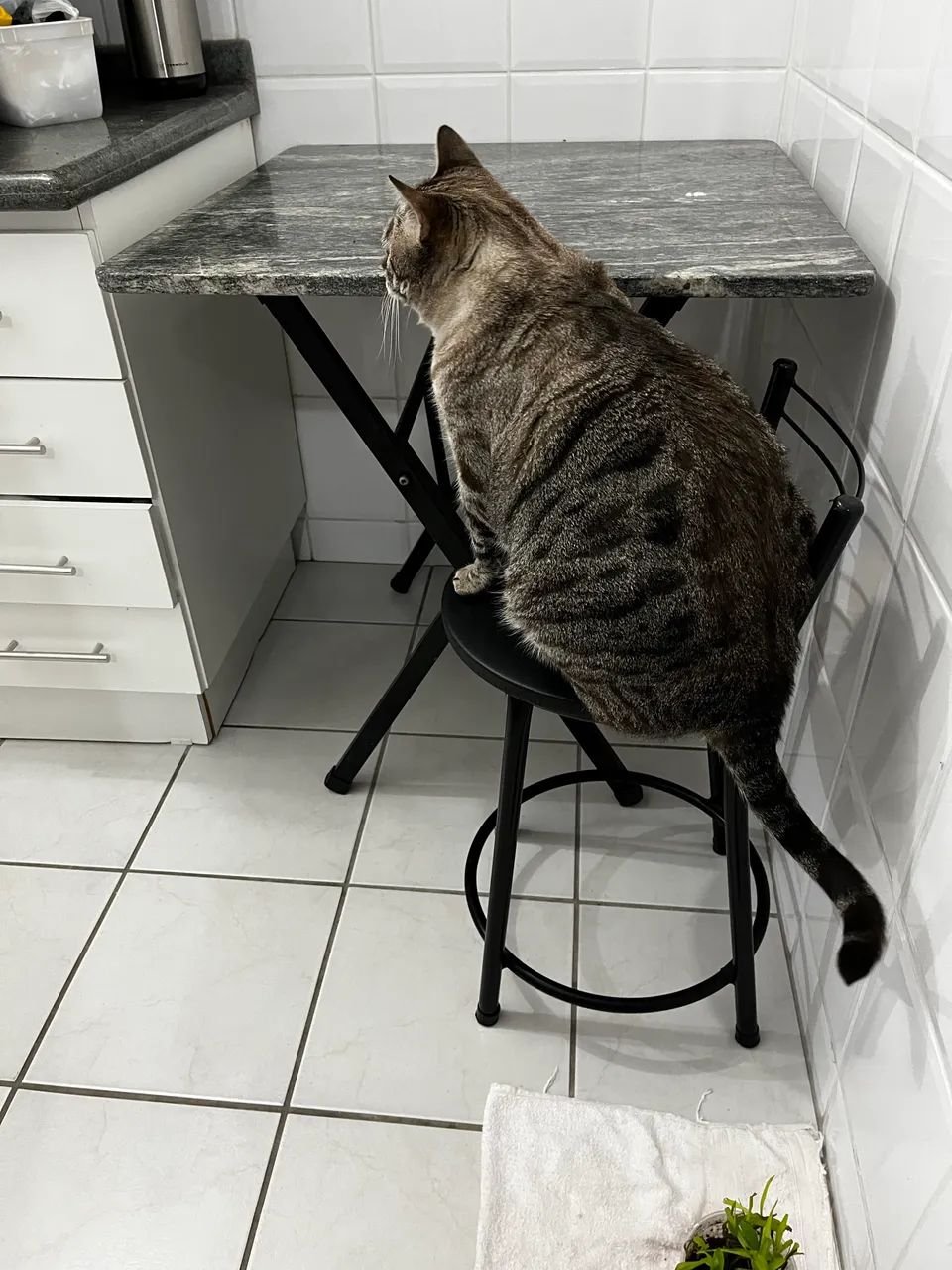 Table and shelf64296272379266122