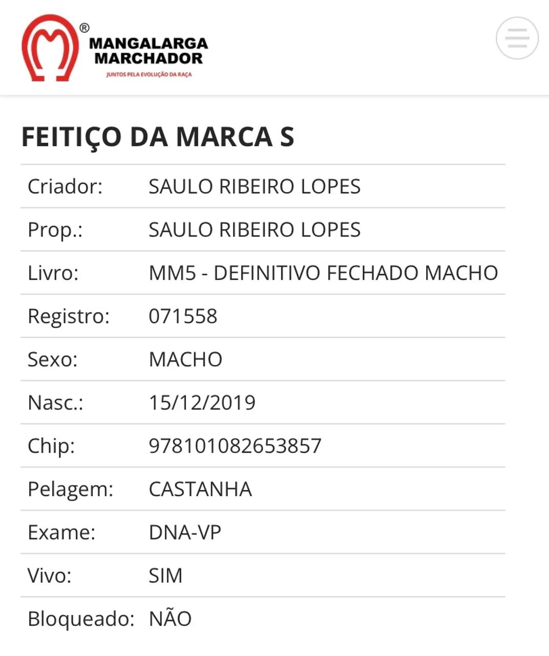 Garanhão Mangalarga Registrado  - Foto 3