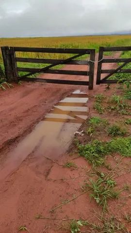 *Mega fazenda a 341 Alqueires a 55 km de Araguaína 35  milhões - Foto 3