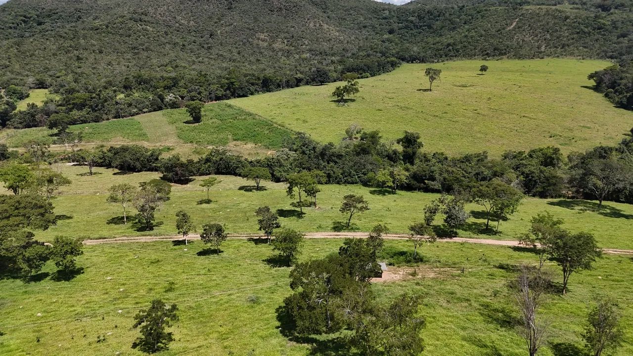 Fazenda em cocalzinho de 189 alqueires  - Foto 5