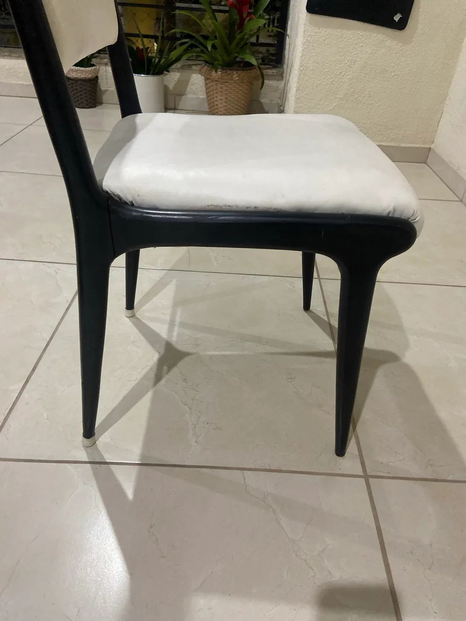 Cadeira Giuseppe Scapinelli  - Foto 4