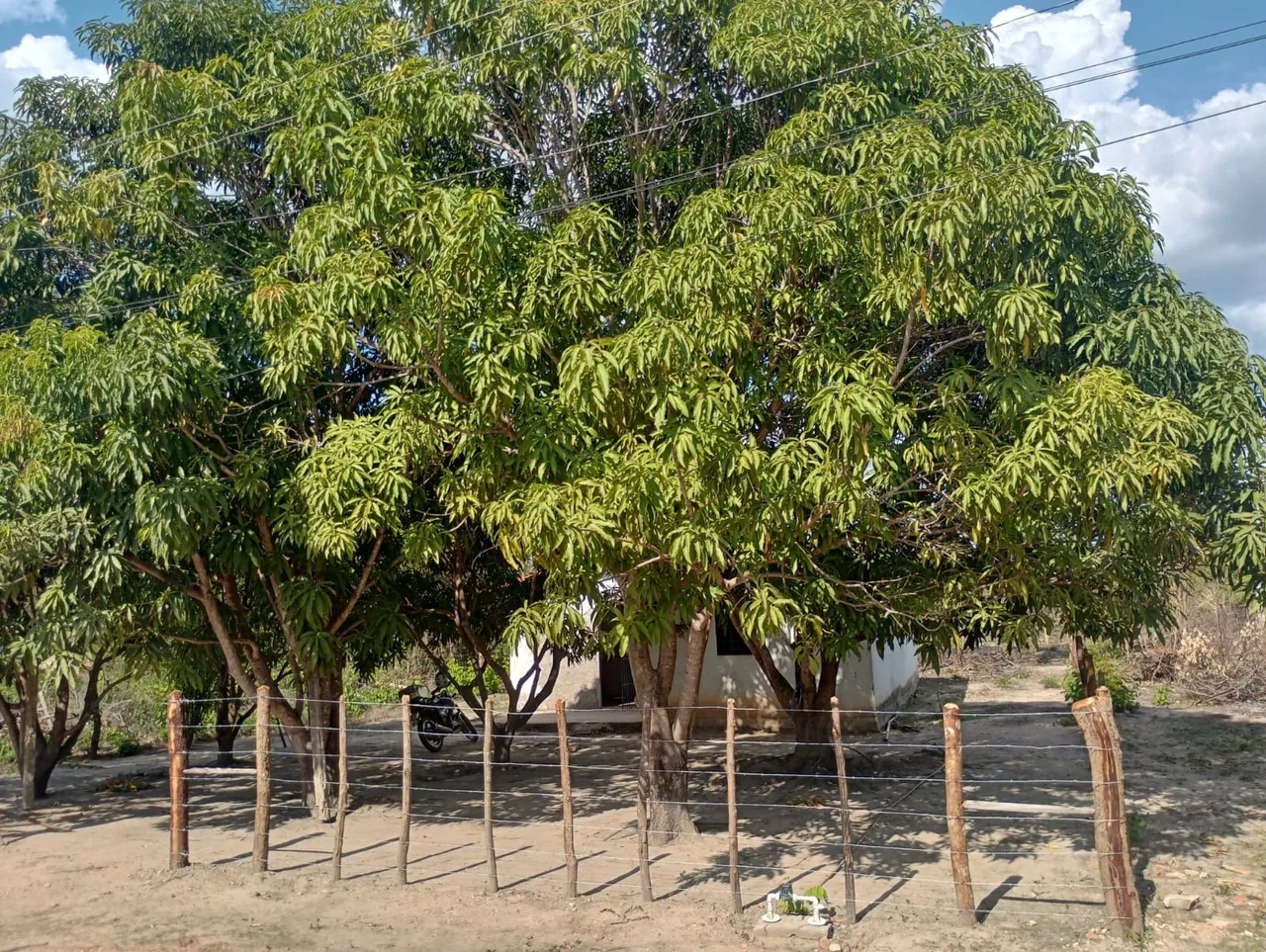 Casa na taboca loteamento Jordânia