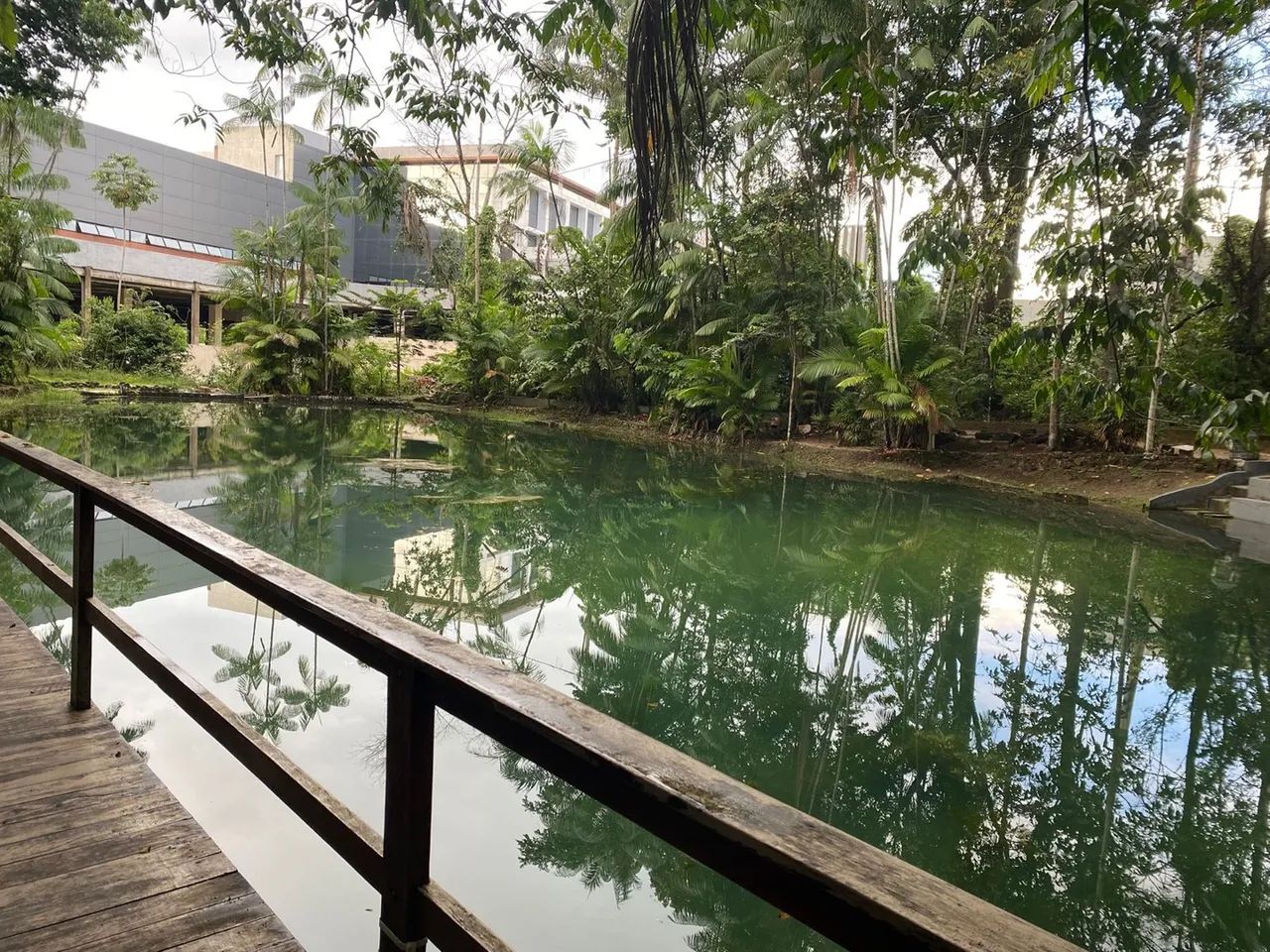 COP 30 Ap 2/4 com sacada  - Foto 14