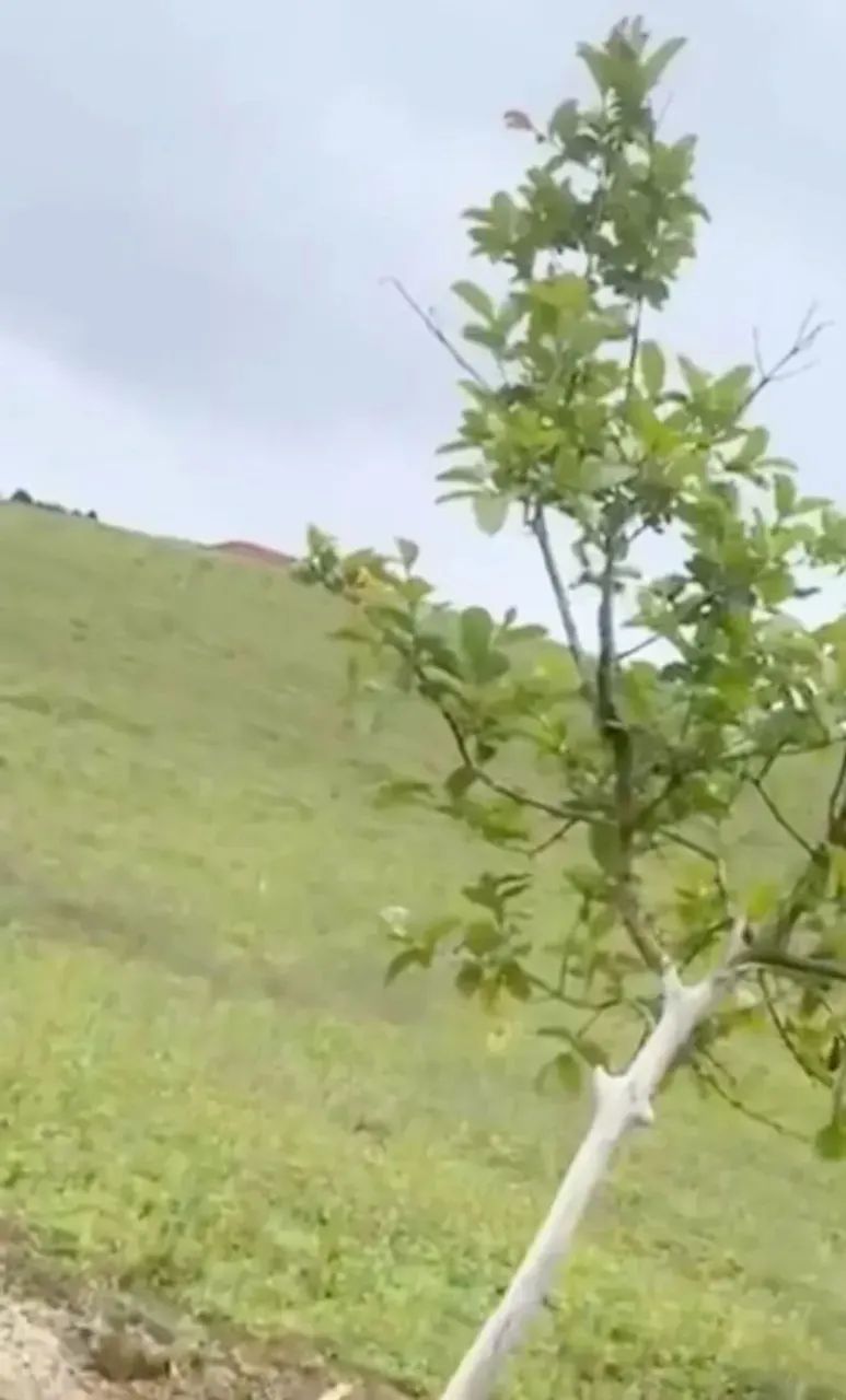 He Confira! Aceitamos ofertas!Casa + 826m²! - Foto 7