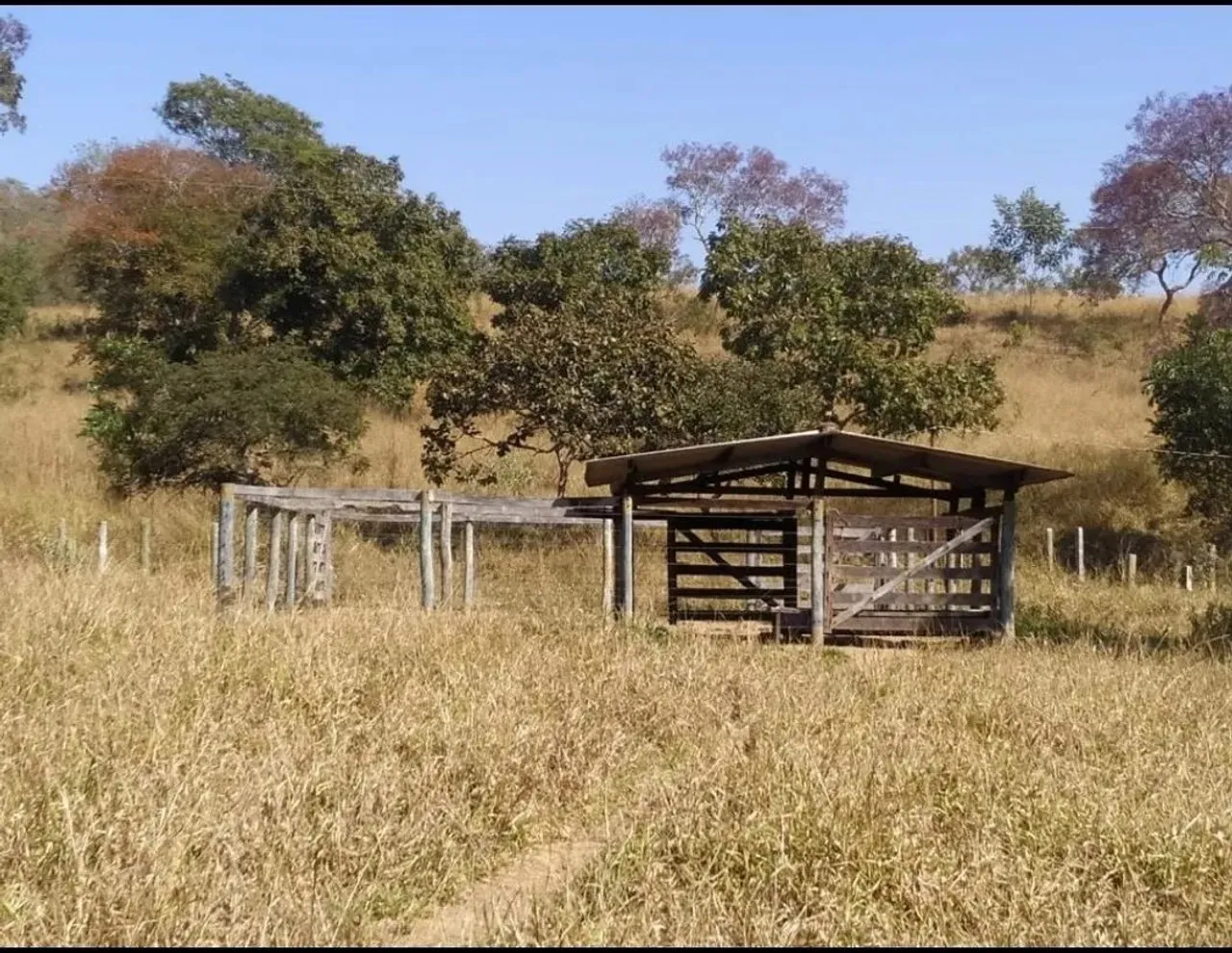 Imóvel para venda com 360 metros quadrados com 3 quartos em Centro - São Miguel do Passa Q
