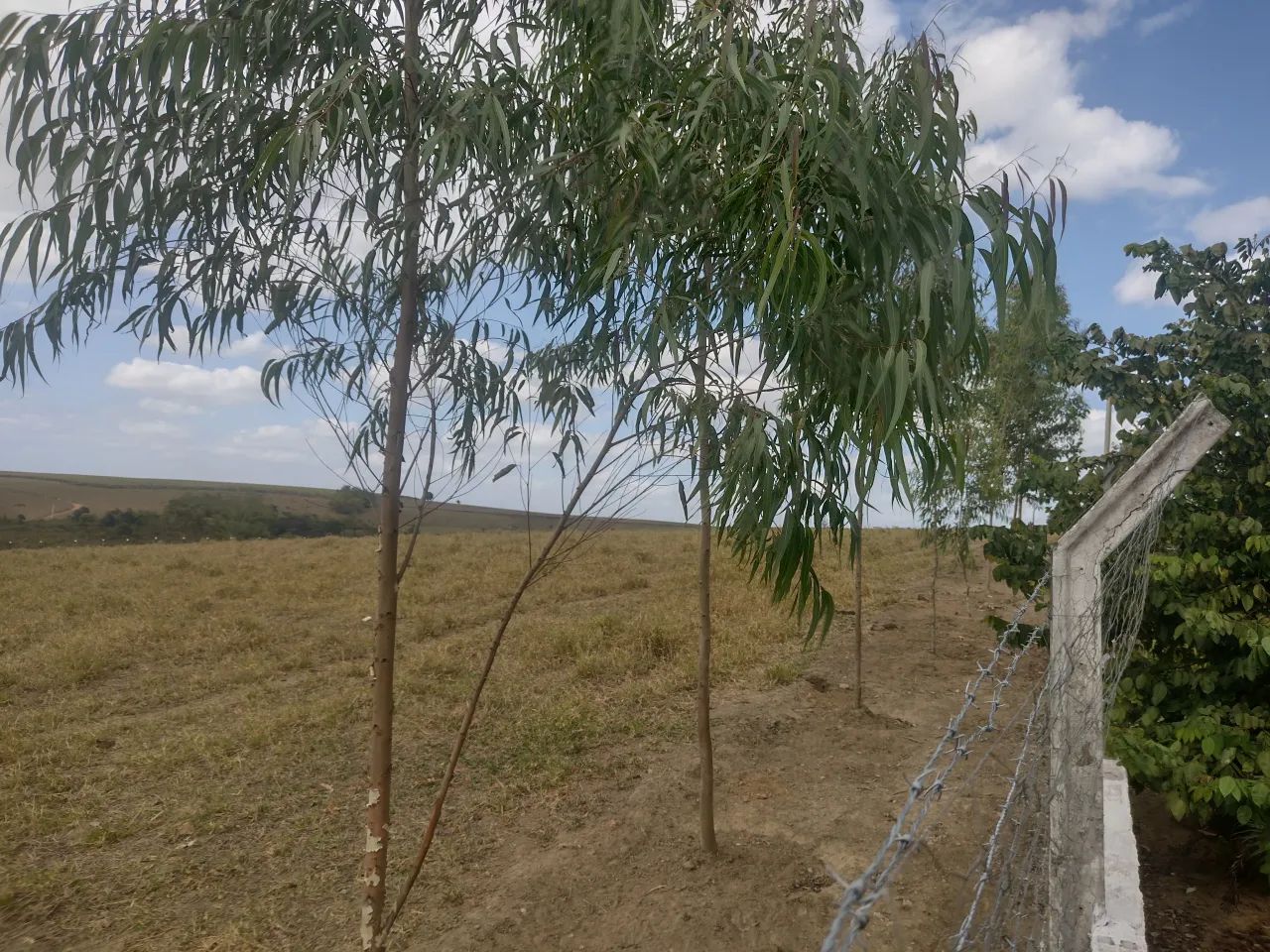 Linda propriedade em Capela 4 km da cidade