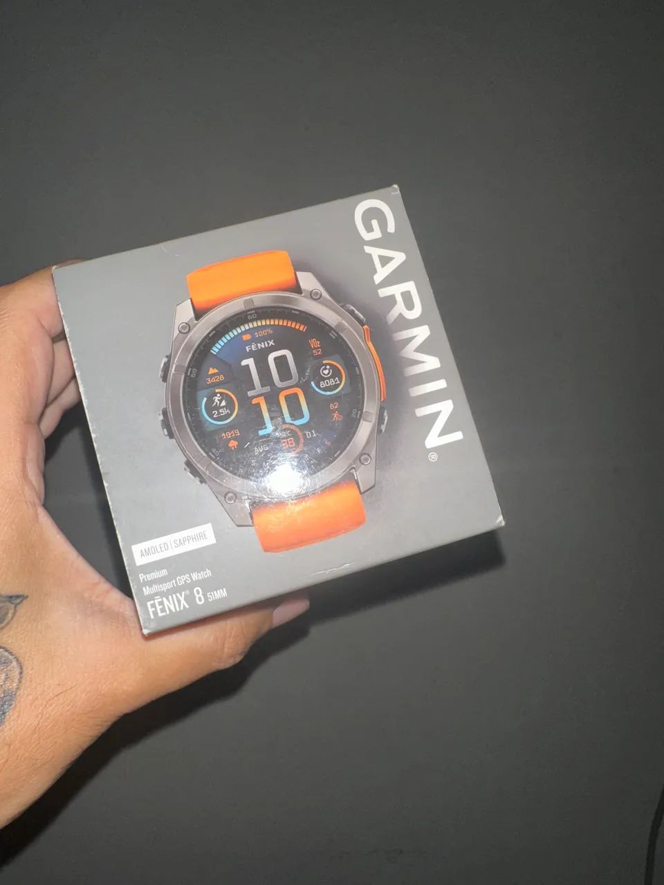 Garmin fênix 864306045305731120